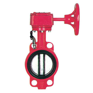 ����������̖���y