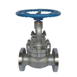 ������ֹ�y