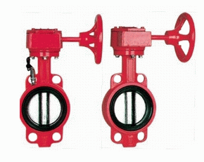 ������̖(h��o)���y