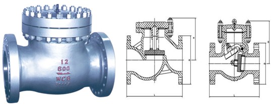 ����ֹ���y