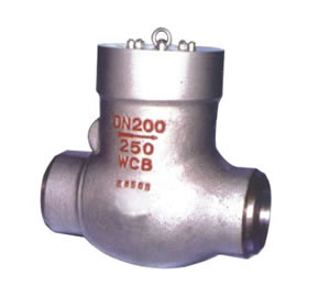 �վ����ʽֹ���y