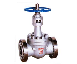 �ߜظ߉����y