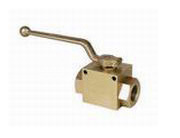 �߉�С�����y