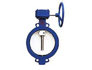 ���Aʽ��ƫ�ĵ��y