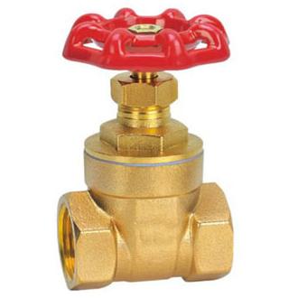 �S�~���ݼy�l�y