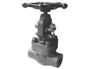 �����˽�ֹ�y