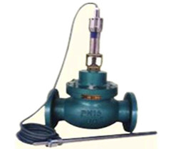 ����ʽ�ض��{���y