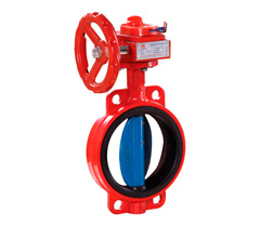 ����������̖(h��o)���y