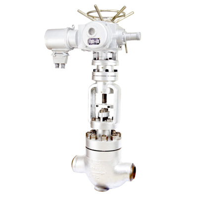 ��������y