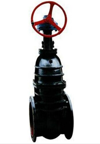 ���X݆�T�F�l�y