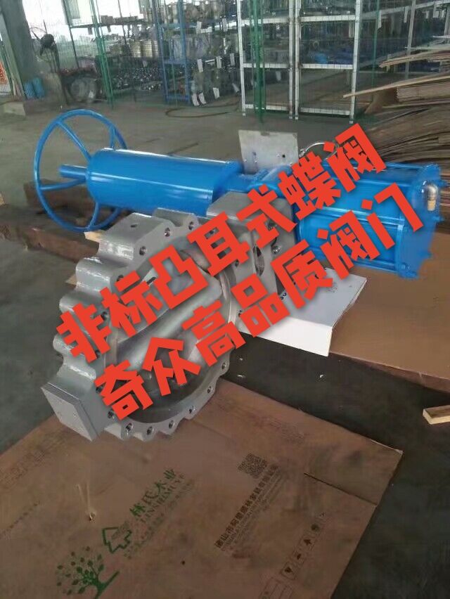 �������͹��ʽ���y