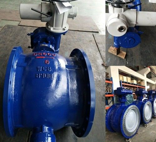 偏心半球閥 偏心半球閥