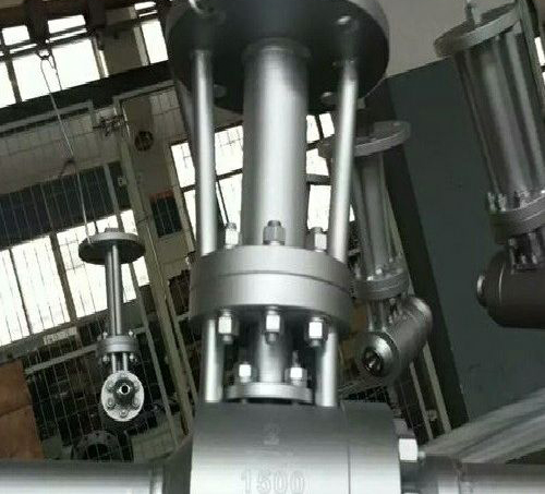 ������y����������