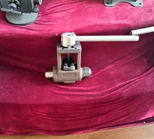 �߉��������y