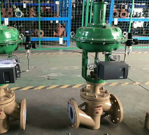 ����͸��g�{���y