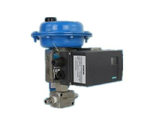 ���P䓲��|�{���y