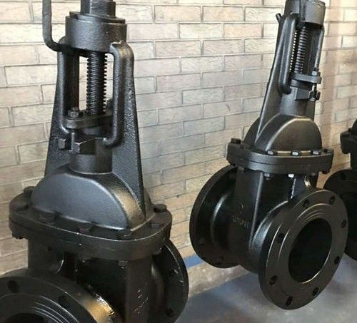 �����T�F�l�y