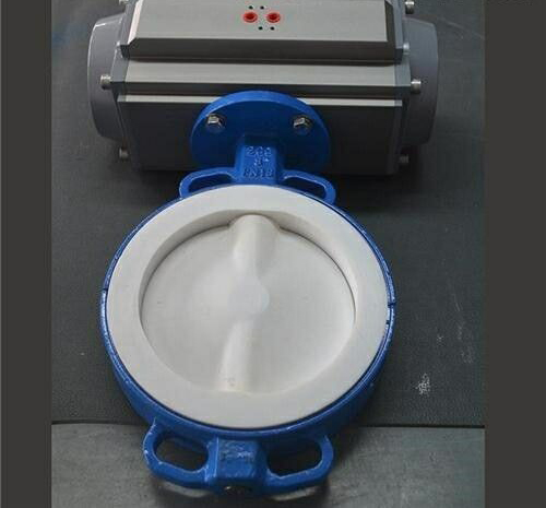 ����r���{�����y