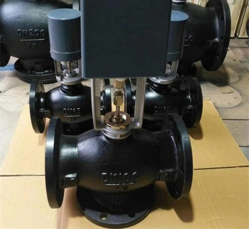 �����e���{���y