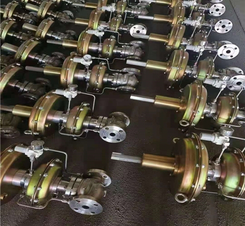 �����y�M���y