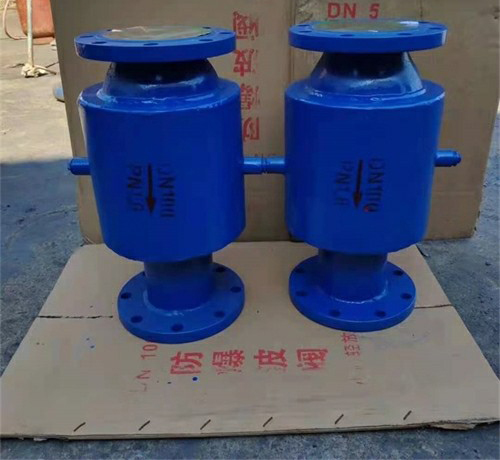 ��ī�T�F�������y