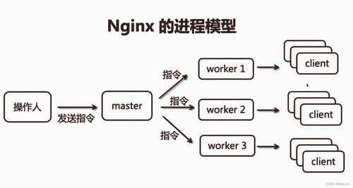 nginx網站服務詳解 編譯安裝及系統服務添加